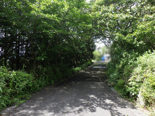 エンゼルフォレスト伊豆富士見高原小松ヶ原⑤の前面道路含む現地写真