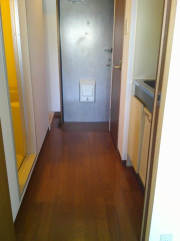 大阪市中央区上町１丁目の賃貸マンションの玄関