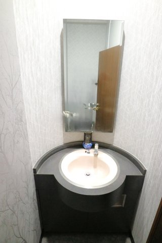 YANOB.L 5の洗面所