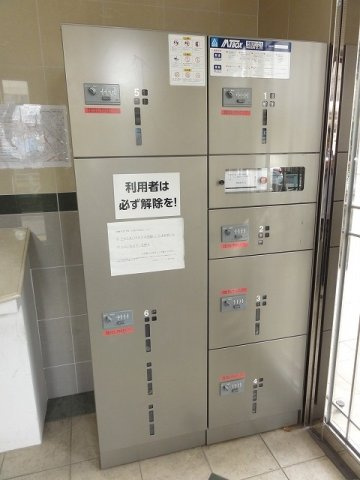 フォルトゥーナ・タワラヤのその他