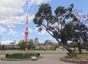 【周辺】 | アジールコート芝公園