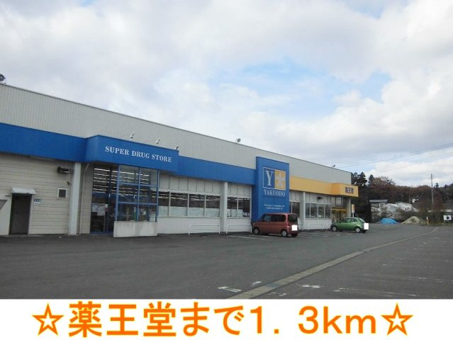 パークヒルズむらさきのＣの周辺|薬王堂まで1300m