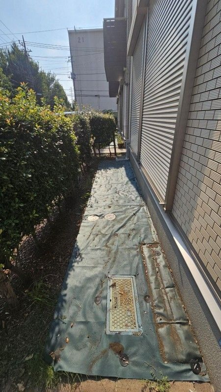 ラフィネ・トレフルC棟の庭
