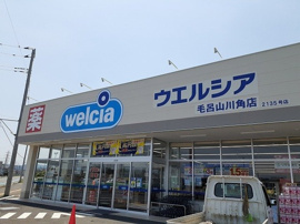 ウエルシア毛呂山川角店まで950m