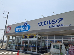 ウエルシア毛呂山川角店まで950m
