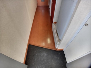 落ち着いた玄関です
