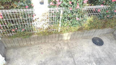簡単な家庭菜園も楽しめるお庭です