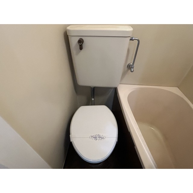 落ち着いた色調のトイレです