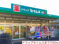 セイムス愛川町店まで700m