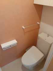 落ち着いた色調のトイレです