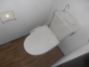 落ち着いた色調のトイレです