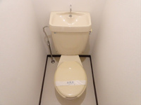 落ち着いた色調のトイレです