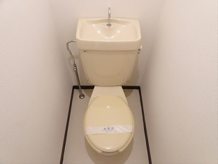 落ち着いた色調のトイレです