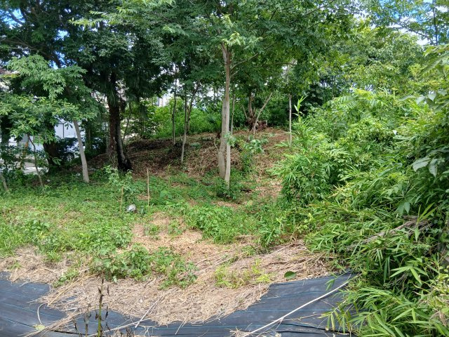 東松山大字毛塚　土地43坪の外観