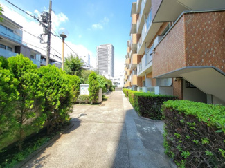 【庭】 | 渋谷区恵比寿西1丁目 代官山ローヤルコーポ 1階 | 敷地内