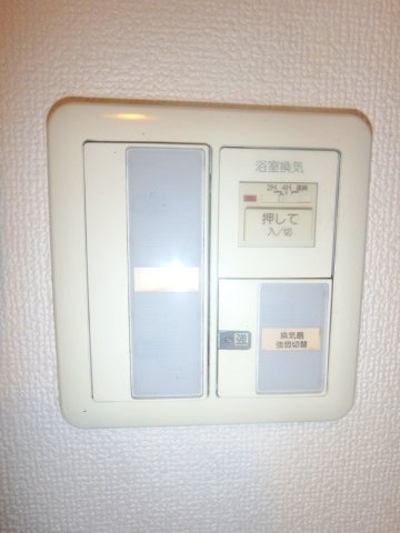 コォピュアスルミネのその他