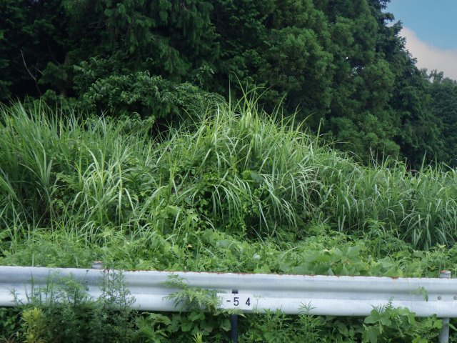 伊豆富士見ニュータウン別荘地⑱