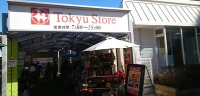 【周辺】 | グレイスビュー宮崎台 | Tokyu Storeまで260m