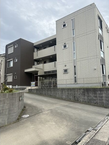 アイリッシュの外観