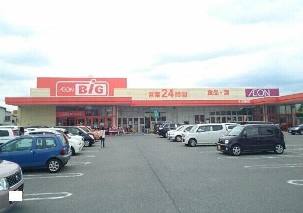 アストレアの周辺|ザ・ビッグ十三部店まで1100m