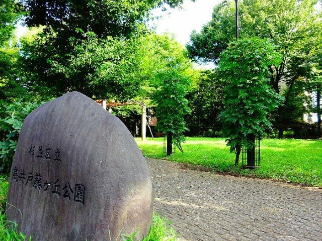 ロジェ高井戸壱番館の周辺|高井戸藤ヶ丘公園まで534m