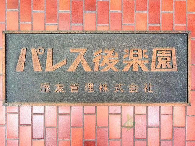パレス後楽園の現況写真