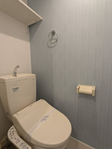 ハーモニーテラス東水切町Ⅱのトイレ
