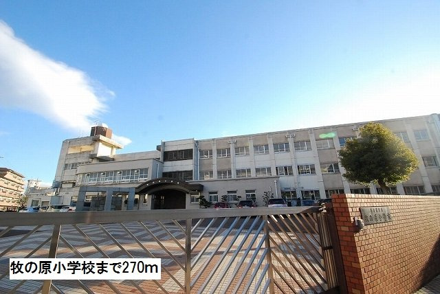グリシーヌ３番館Ａの周辺|牧の原小学校まで270m