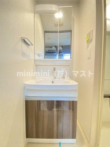 エステムコート難波VIIビヨンドの洗面所