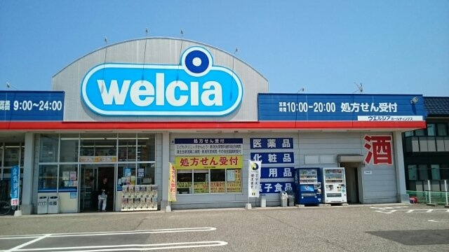 プリムールの周辺|ウエルシア新潟小新店まで1000m