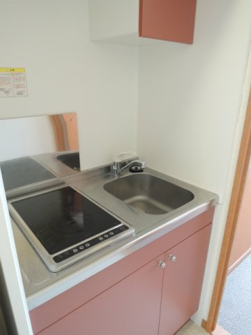 レオパレス羊ヶ丘　康のキッチン|２口電気コンロ