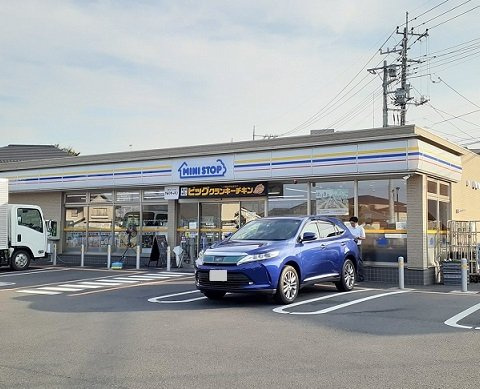 アニューガーランドの周辺|ミニストップさいたま見沼島町店まで400m