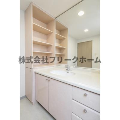 コーボック新小金井の洗面所