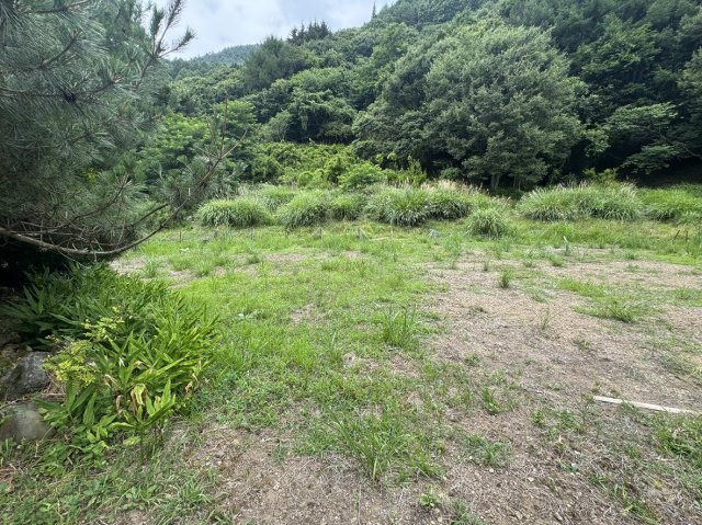真田町長中古畑付きのその他|地続きの畑343坪