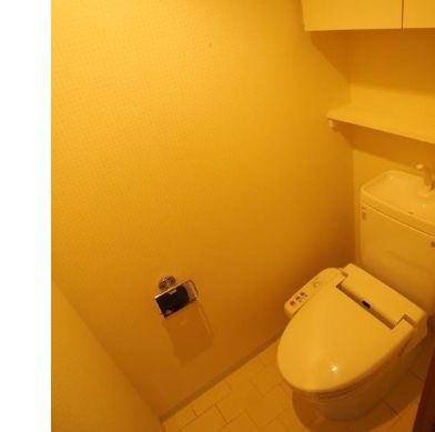 日神デュオステージ東向島のトイレ|落ち着いた色調のトイレです