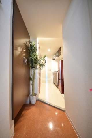 Luxe西長堀の玄関|Luxe西長堀（ラグゼ西長堀）　玄関