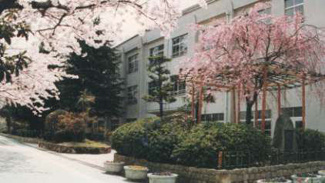 【周辺】 | 小学校