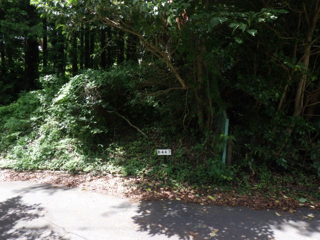 伊豆富士見ニュータウン別荘地⑲