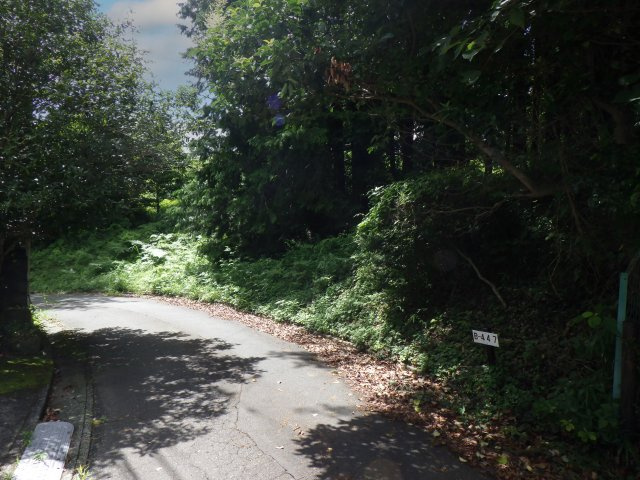 伊豆富士見ニュータウン別荘地⑲の前面道路含む現地写真