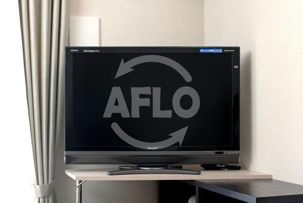 パークアクシスうつぼ公園のその他|パークアクシスうつぼ公園　家具・家電つき　ＴＶ