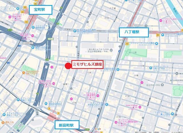 ミモザヒルズ銀座の地図