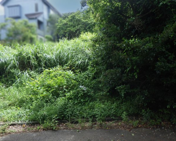 伊豆富士見ニュータウン別荘地⑳の外観