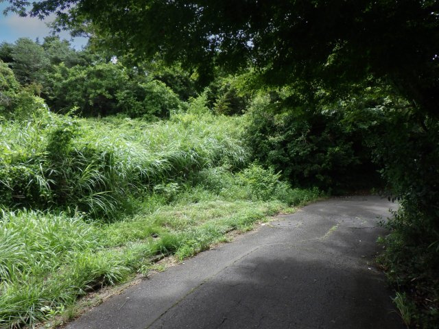 伊豆富士見ニュータウン別荘地⑳の前面道路含む現地写真
