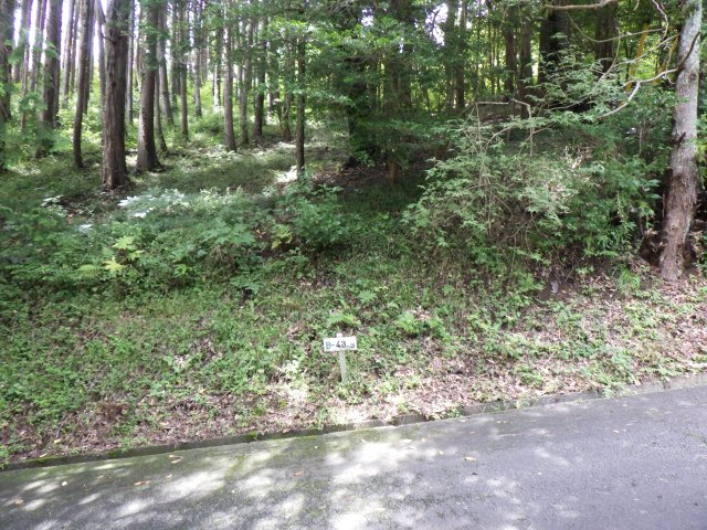 伊豆富士見ニュータウン別荘地㉑