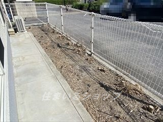 リビエラ南　Ａ棟の庭