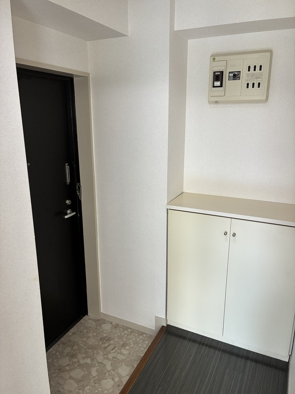 スカイビュー246の玄関|落ち着いた玄関です