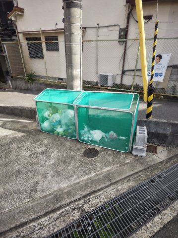 フリーディオ木屋元町のその他