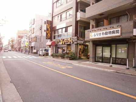 レオネクストローズの周辺|蓮沼駅前通り