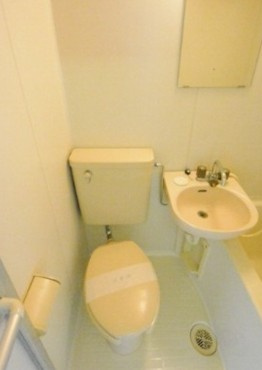 福生市加美平２丁目の賃貸マンションのトイレ