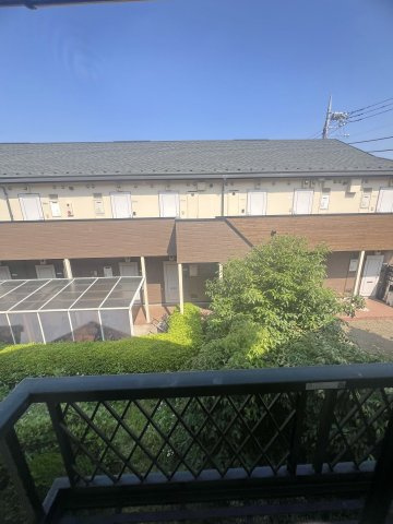 【展望】 | アモルファアルファ